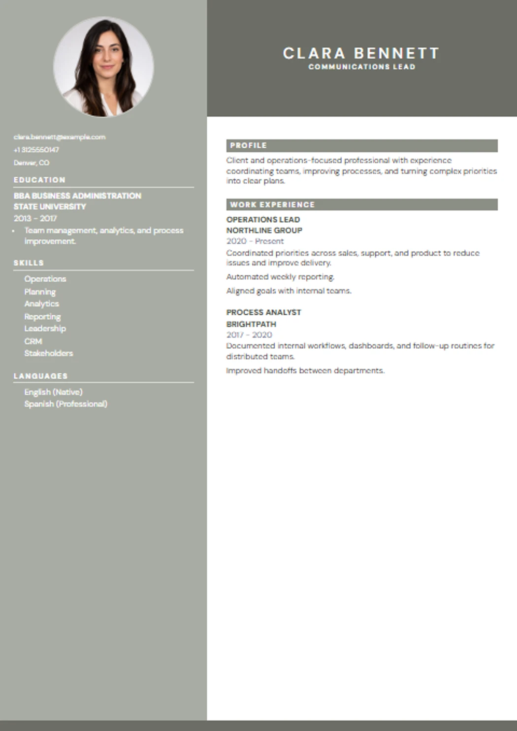 Elegant CV template preview