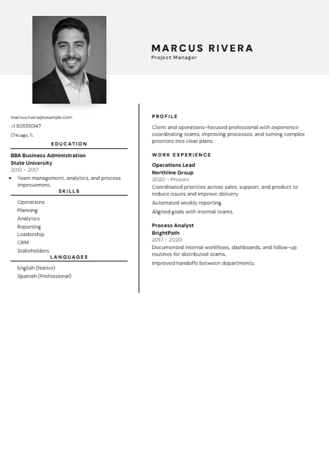 Professional CV template preview
